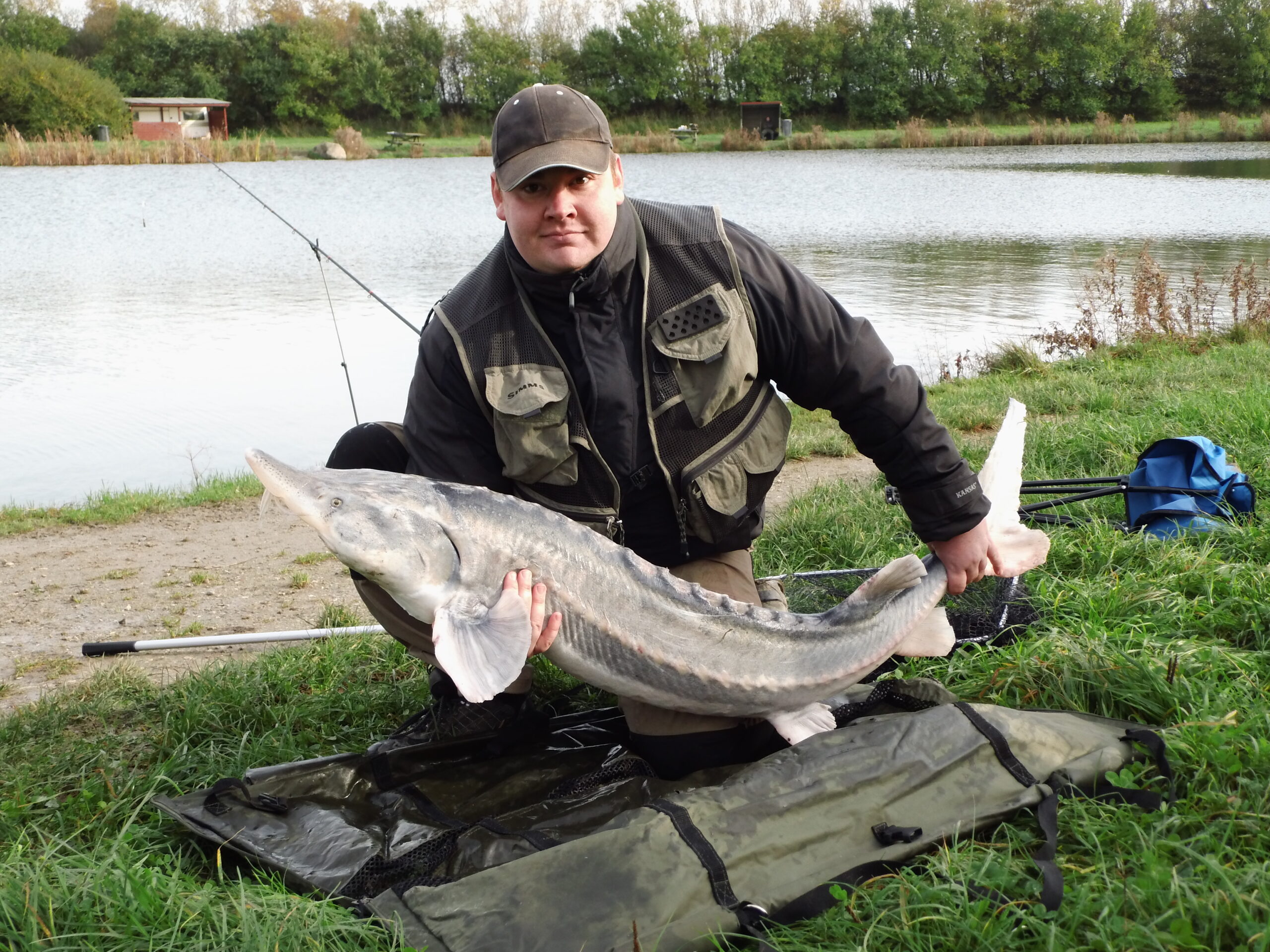 Belugastør på 19.70 Kg.